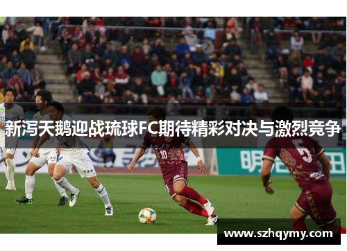 新泻天鹅迎战琉球FC期待精彩对决与激烈竞争